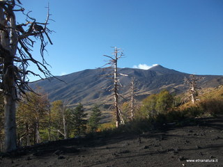 nte Pizzillo-21-10-2012 08-36-52